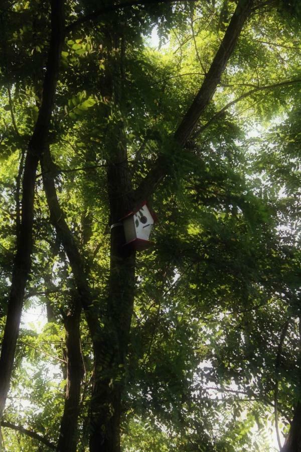Carobni Breg Villa โกลูบาค ภายนอก รูปภาพ