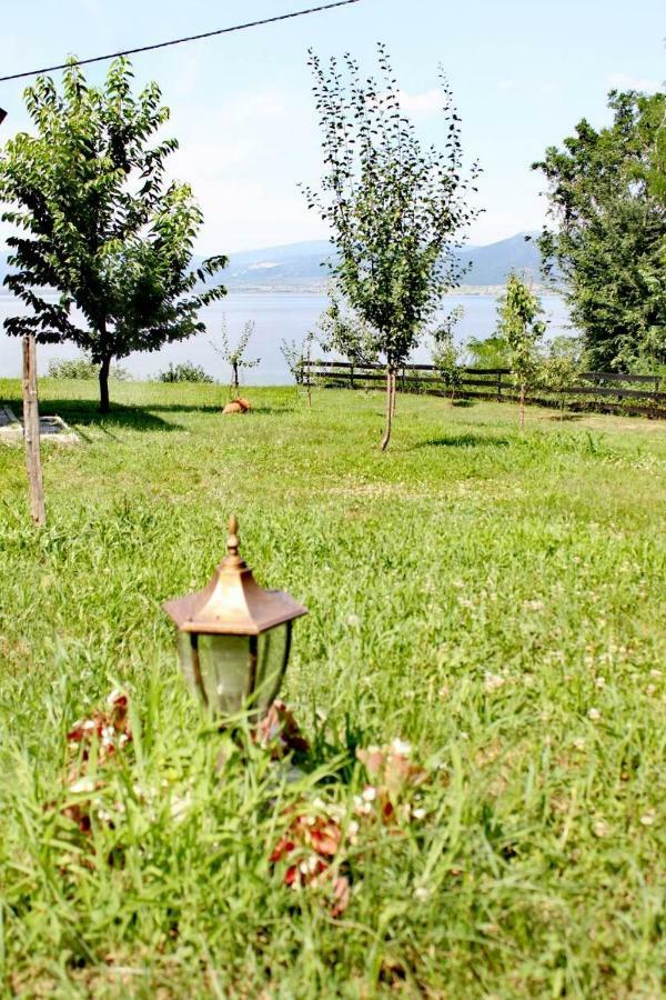 Carobni Breg Villa โกลูบาค ภายนอก รูปภาพ