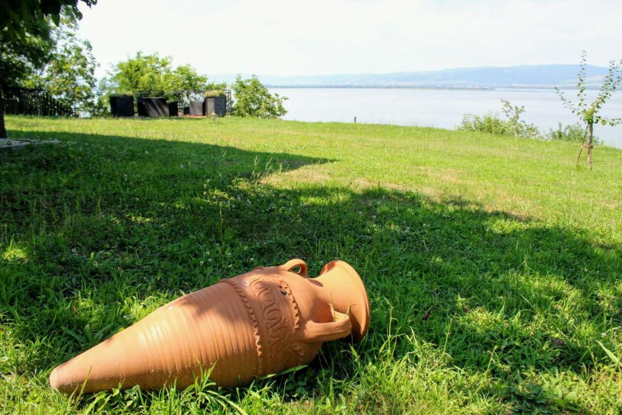 Carobni Breg Villa โกลูบาค ภายนอก รูปภาพ